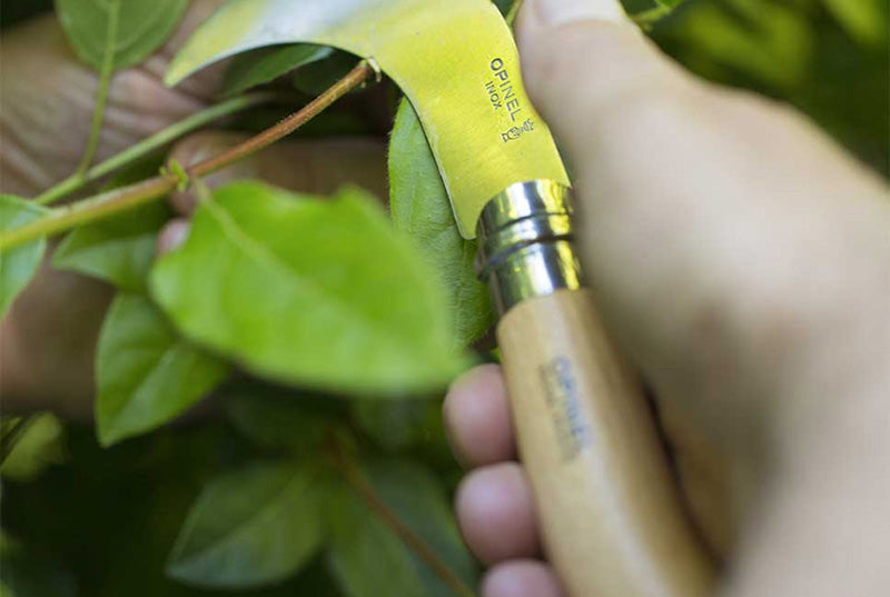 Opinel Serpette N°10 de poche Inox - Manche Hêtre - Lame courbe de 10 cm pliante Opinel