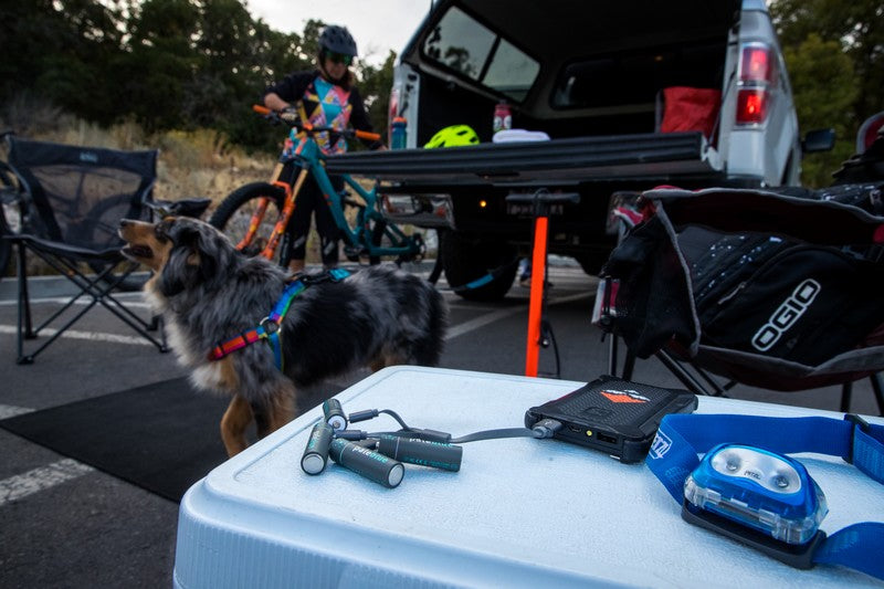 Batteries Paleblue Lithium D, LR20 – 5000mAh – Rechargeable Type-C – 1.5V Paleblue