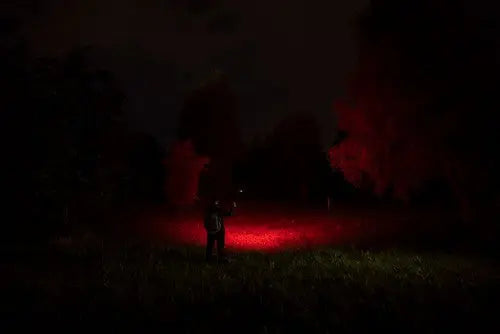 Armytek Elf C2 Max WR USB-C - Lampe frontale 4-en-1 lumière blanche et rouge