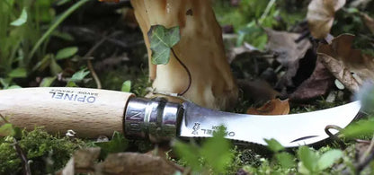 Couteau de poche Opinel Champignon N°08 – Hêtre - couteau à champignon  NYCTALOPE  