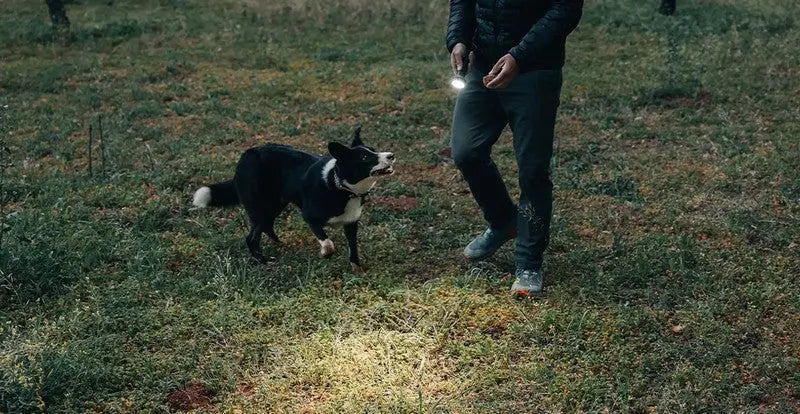 Lampe Torche Lanterne Olight Prowess 5000 Lumens éclairage bidirectionnel  NYCTALOPE  