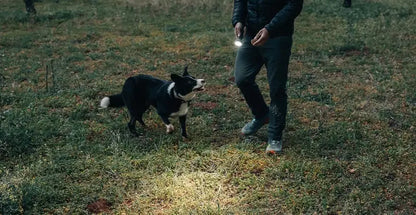 Lampe Torche Lanterne Olight Prowess 5000 Lumens éclairage bidirectionnel  NYCTALOPE  