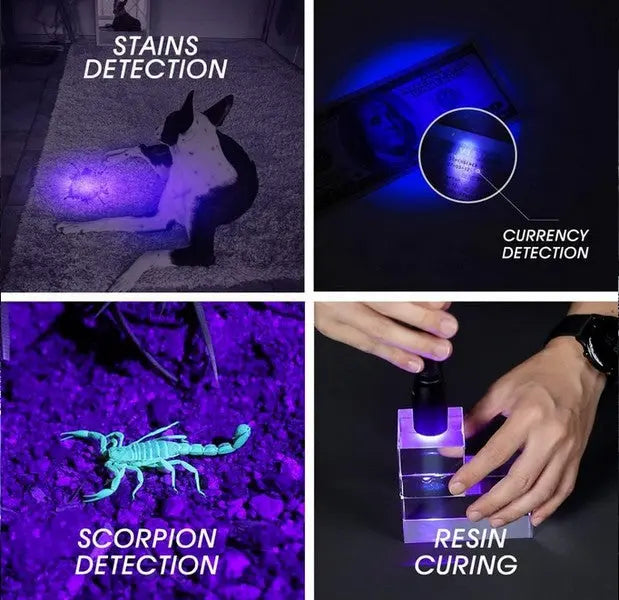 Lampe Torche Nextorch C2 UV Ultraviolet 405 nanomètres  NYCTALOPE  
