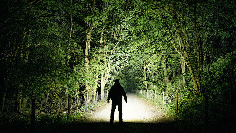 Lampe Torche Nitecore EDC37 8000 Lumens - Rechargeable USB-C - Écran OLED - NYCTALOPE