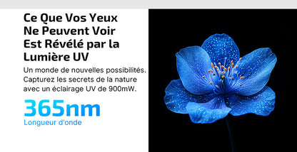 Olight Arkfeld Ultra - 1400 Lumens laser vert et lumière UV - NYCTALOPE