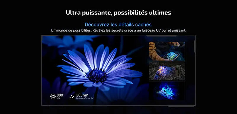 Olight Oclip Ultra - 530 Lumens - Mini lampe à clip avec faisceau large, concentré et UV  NYCTALOPE  