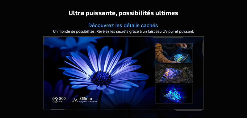 Olight Oclip Ultra - 530 Lumens - Mini lampe à clip avec faisceau large, concentré et UV  NYCTALOPE  