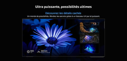 Olight Oclip Ultra - 530 Lumens - Mini lampe à clip avec faisceau large, concentré et UV  NYCTALOPE  