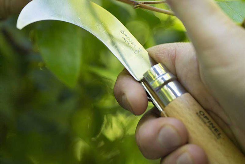 Opinel Serpette N°10 de poche Inox - Manche Hêtre - Lame courbe de 10 cm pliante Opinel