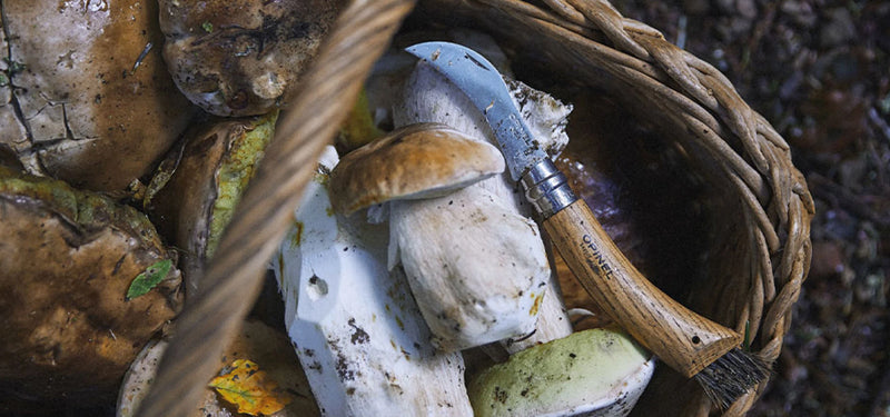 Plumier Champignon INOX N°8 avec Etui et Boite Opinel