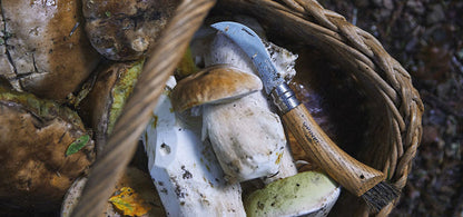 Plumier Champignon INOX N°8 avec Etui et Boite Opinel