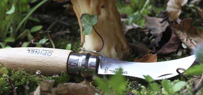 Couteau de poche Opinel Champignon N°08 – Hêtre Opinel