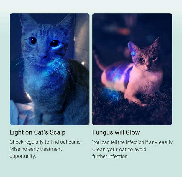 Lampe Nextorch DR K3UV 600mW - 10 Lumens Jaune  NYCTALOPE  