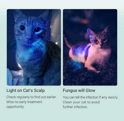 Lampe Nextorch DR K3UV 600mW - 10 Lumens Jaune  NYCTALOPE  