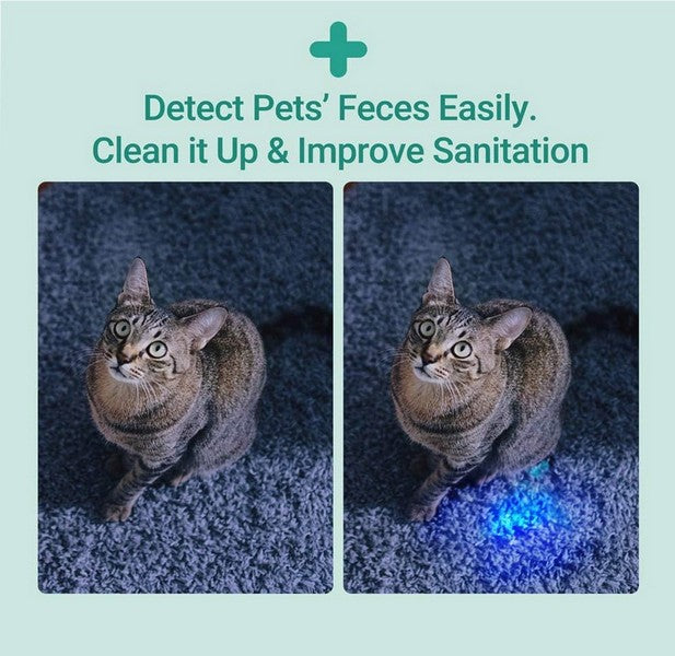 Lampe Nextorch DR K3UV 600mW - 10 Lumens Jaune  NYCTALOPE  