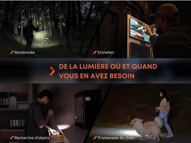 Lampe Torche Fenix LD12R - 600 Lumens - rechargeable  NYCTALOPE  