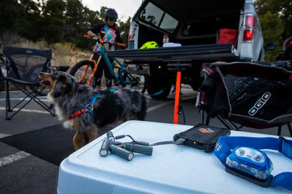 Batteries Paleblue Lithium AA, LR06 – 1700mAh – Rechargeable Type-C – 1.5V  NYCTALOPE  