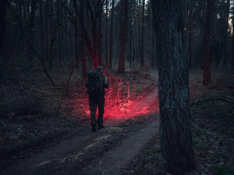 Lampe Frontale Armytek Wizard C2 WR – 1100 Lumens White / 230 Lumens Rouge - NYCTALOPE