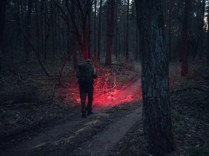 Lampe Frontale Armytek Wizard C2 WR – 1100 Lumens White / 230 Lumens Rouge - NYCTALOPE